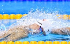 熊猫app官方网站-拉米罗豪赌成功！放弃亚冠专攻足协杯，外籍救火主帅创历史夺冠